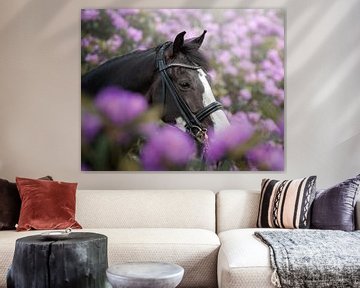 Paardenportret in bloemen van Jack Soffers