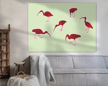 Roter Ibis von Studio Mattie