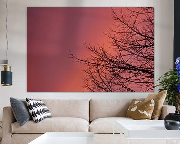 Coucher de soleil sur Aero Dynamica