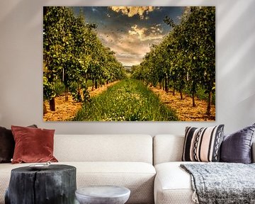 Orchard at Oetingen by Niels Hemmeryckx