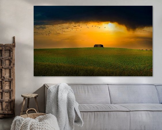 Aperçu de la chambre