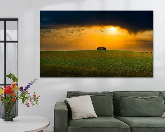 Aperçu de la chambre