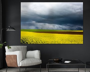 Normandy landscape with rapeseed in May by Matty Maas