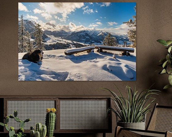 Aperçu de la chambre