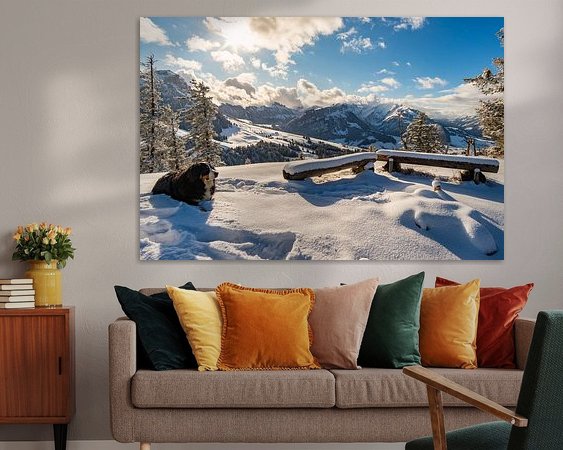 Aperçu de la chambre