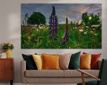 Landschaft Blumen / Blumenwiese Natur von Johnny Flash