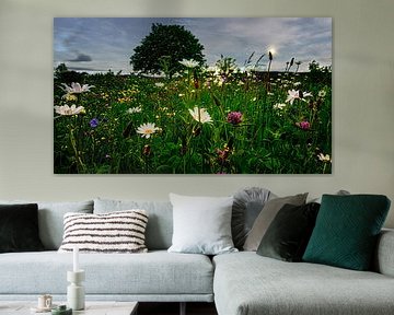 landschap bloemen / bloemenweide natuur van Johnny Flash