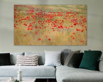 Poppy field by Erich Werner