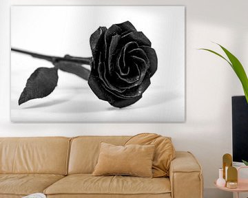 Zwart-Wit roos fotografie van Tessa Selleslaghs