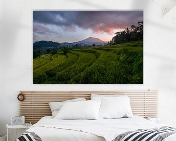 Rice fields at Volcano Gunung Agung in Sidemen by Ellis Peeters