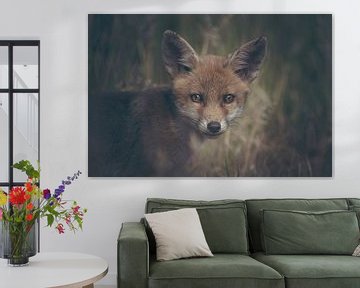 Portret van een jonge vos in de Nederlandse natuur in een dark moody setting