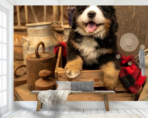 Aperçu de la chambre