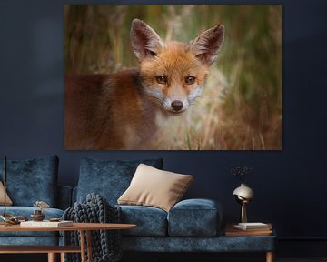 Portret van een jonge vos in de Nederlandse natuur in een lichte setting