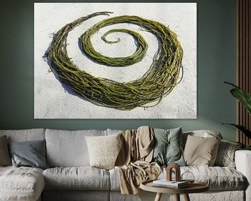 Seaweed Swirl by Mies Heerma