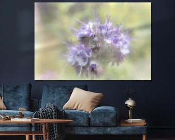 Phacelia in pastel van Wilhelmien  Marti