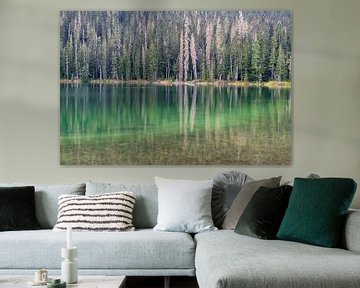 Lac avec un beau reflet vert dans l'eau sur Diana de Boer