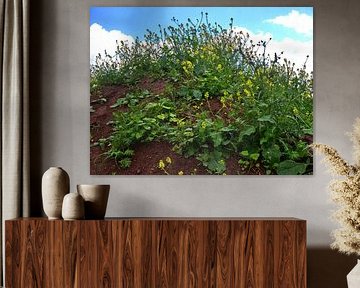 Verkrachting bloemen