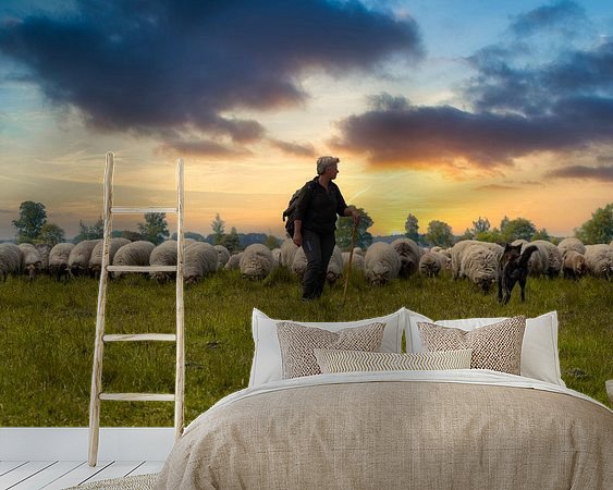 Voorbeeld van het werk in een kamer