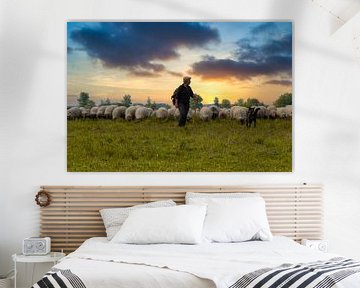 Troupeau de moutons, Dwingelderveld. sur Lucas Steunebrink