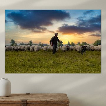 Troupeau de moutons, Dwingelderveld. sur Lucas Steunebrink