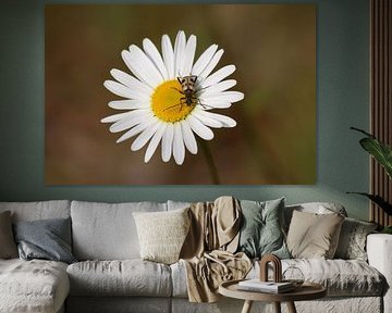 Margriet