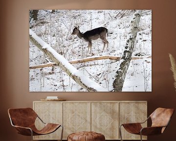 fallow deer in the snow by Merijn Loch