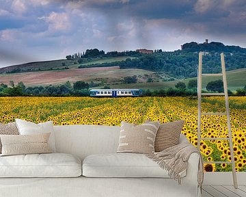 Summertime...sunflowers in Tuscany by Teun Ruijters