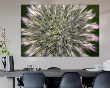 Abstract pale globe-thistle