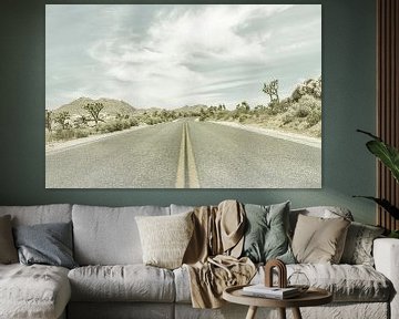 Joshua Trees at a Country Road by Melanie Viola