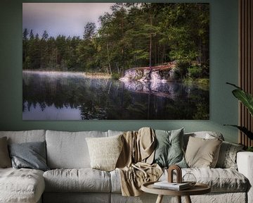 Une belle matinée tranquille dans une belle forêt