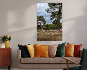 Schafe auf der Strijbeekse Heide im Frühling mit schönen Wolken. von Henk Van Nunen Fotografie