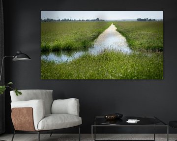 Dutch meadow view by Marloes van Pareren