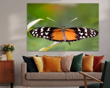 Butterfly sur Kirtah Designs