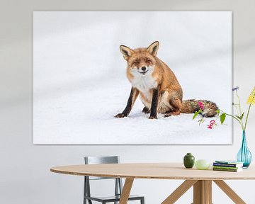 Vos in de sneeuw van Marcel Derweduwen