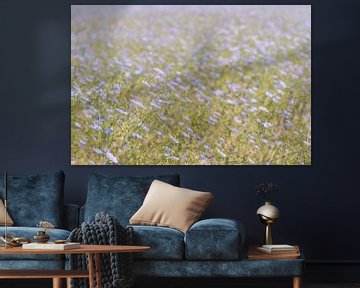 Lichtblauw bloeiend vlas van dichtbij van Ruud Morijn