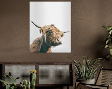 Majestueus Highland koe portret van Patrik Lovrin