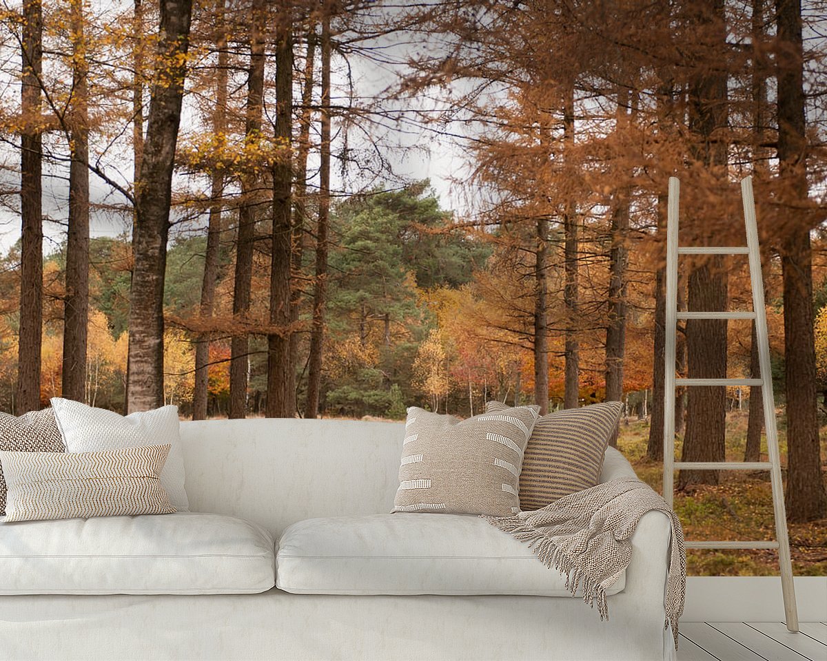 Raumvorschau