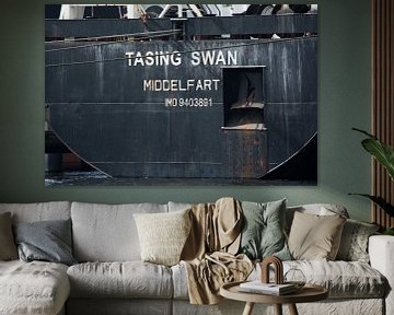 Tasing Swan in de haven Amsterdam van scheepskijkerhavenfotografie