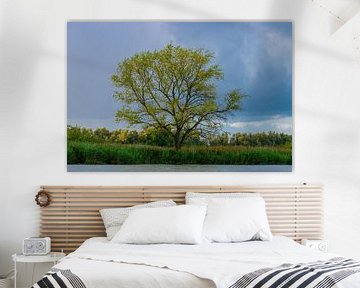 Tree in the Biesbosch by Merijn Loch