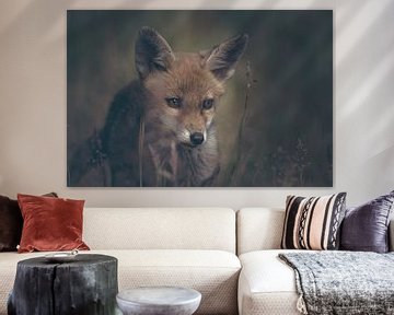 Portret van een jonge vos in de Nederlandse natuur in een dark moody setting