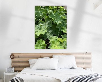 Feuille verte sur Janneke Bijl