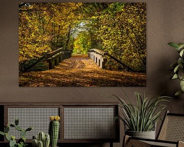 Bemalen einer Brücke im Herbst von Michel Swijgman