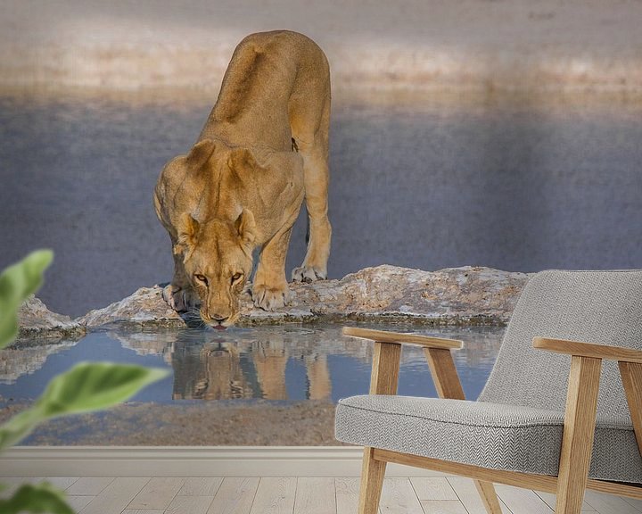 Sfeerimpressie behang: Drinkende leeuw bij een waterpoel van Peter Moerman