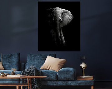 Elefant!, WildPhotoArt  von 1x