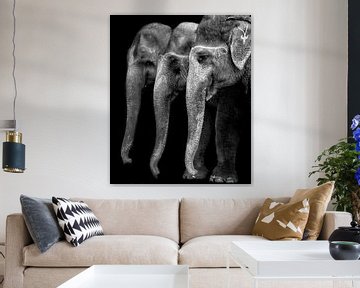 Nature \ 's großes Meisterwerk, ein Elefant; die einzige harmlose große Sache ..., Yvette Depaepe von 1x