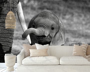 Close by Bjoern Alicke