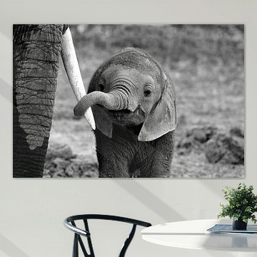 Schließen Sie von Bjoern Alicke