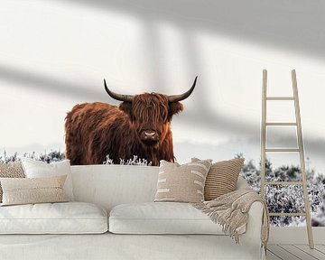 Highlander by Jaap van den Helm