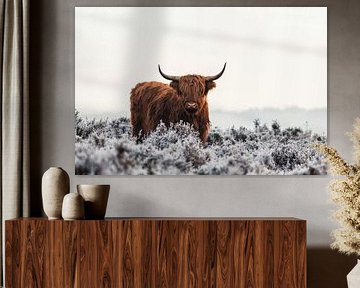 Highlander sur Jaap van den Helm