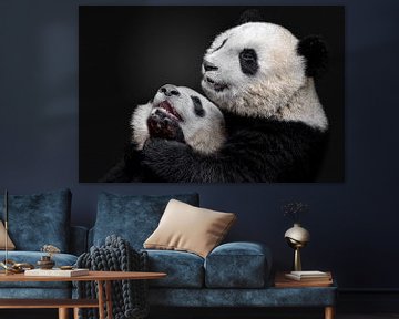 Pandas, Alessandro Catta by 1x